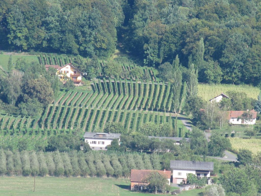 Appartement Weingut Schoberhof Bad Gleichenberg Habitación foto